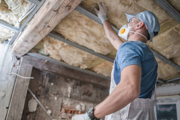 Types of Insulation We Offer in Jim Thorpe, PA